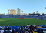 2025 プロ野球観戦